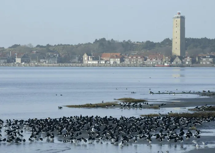 Stayokay Hostel Terschelling